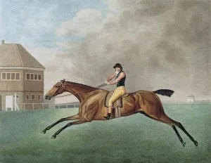 Baronet, 1794 (etching) by George Stubbs (1724-1806)