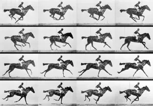 ross alderson, edward muybridge