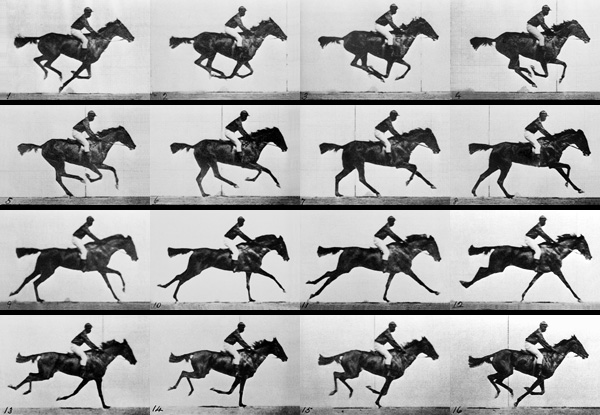 ross alderson, edward muybridge